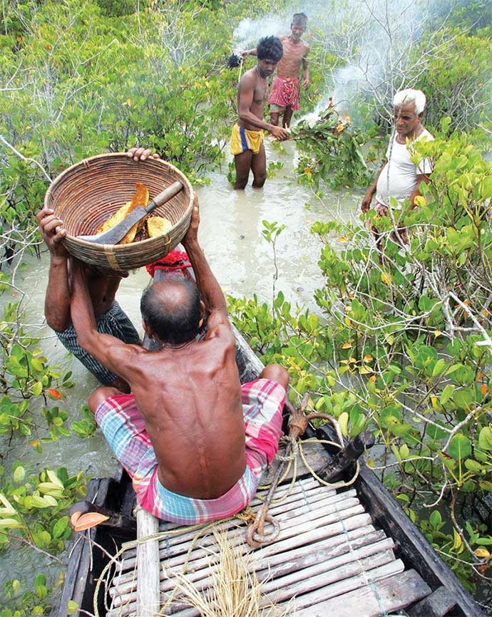 মধু শিকারী।